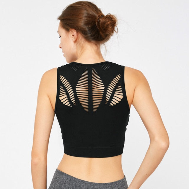 Aerial Sports Bra