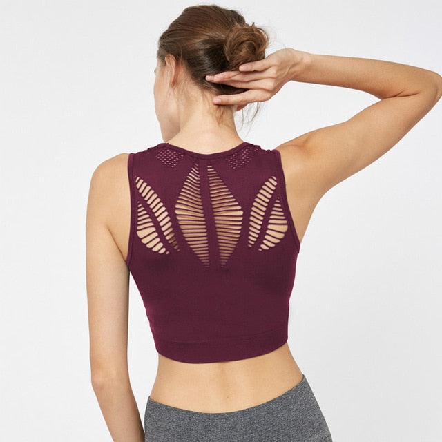 Aerial Sports Bra